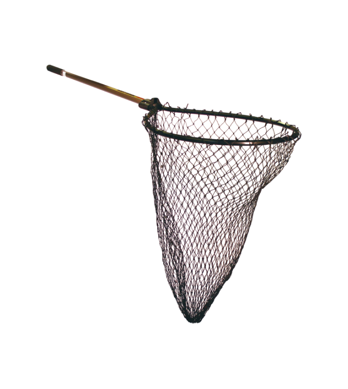 Fishing Baits & Lures